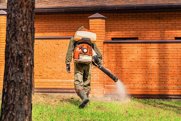 Trusted Cockroach Control service in Nicholls, GA - Nex Pest Control